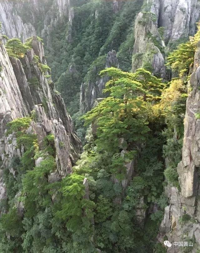 云裳羽衣